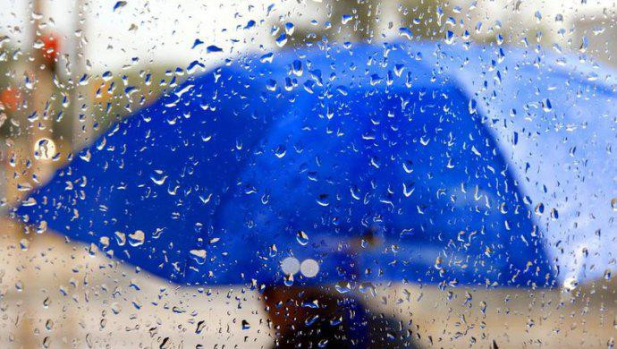 Elordada aldaǵy táýlikterde jańbyr jaýady