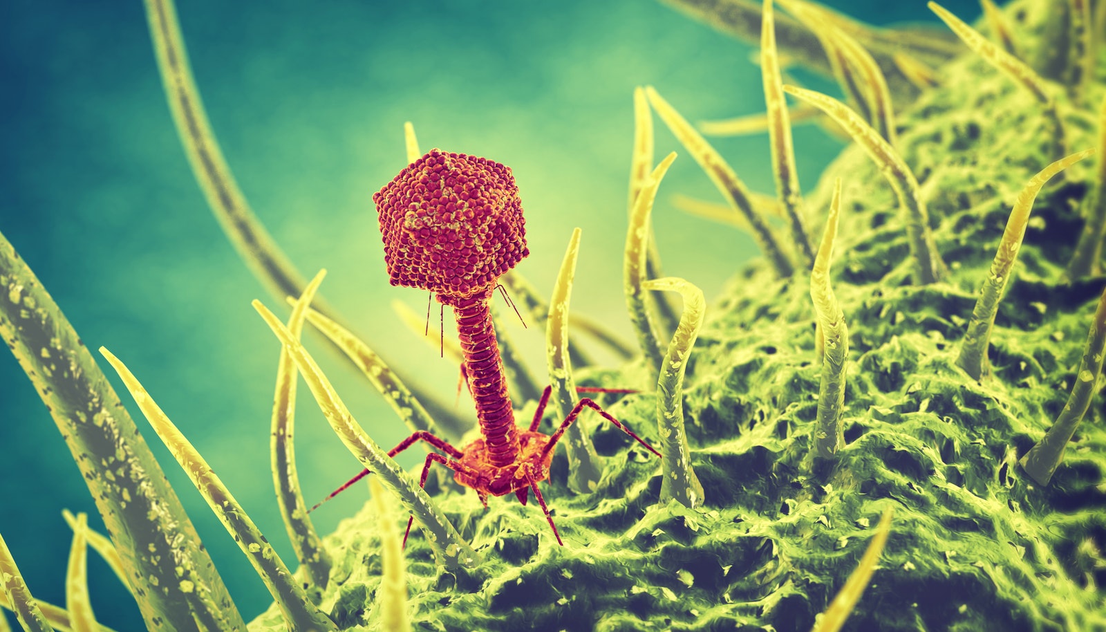 Antıbıotıkterden keletin qaýip qandaı?