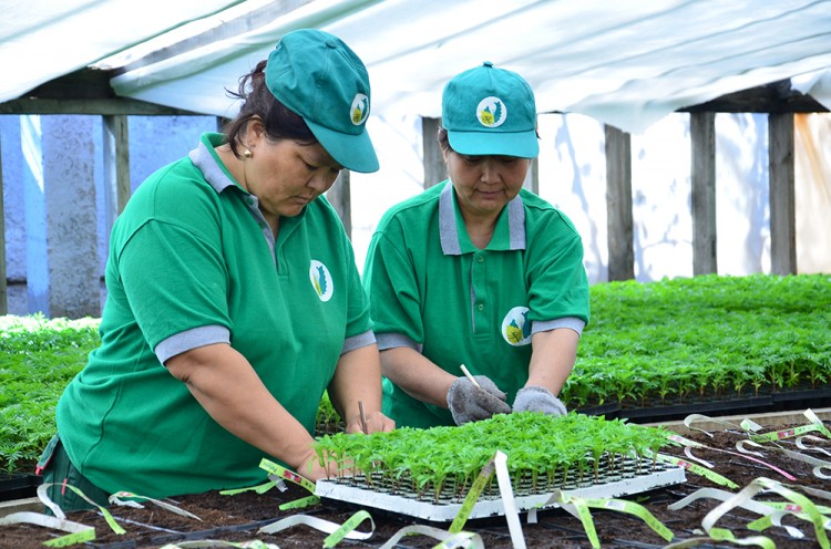 Almatyda kógaldandyrý jumystary jalǵasýda