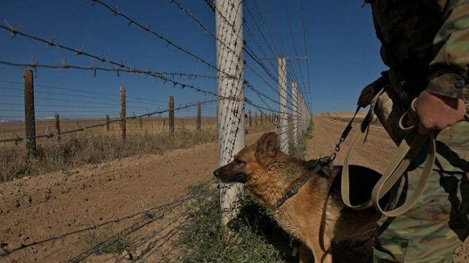 Aqtóbelik shekarashylar Reseıden jalǵan tólqujatpen oralǵan   Qazaqstandyqty ustady