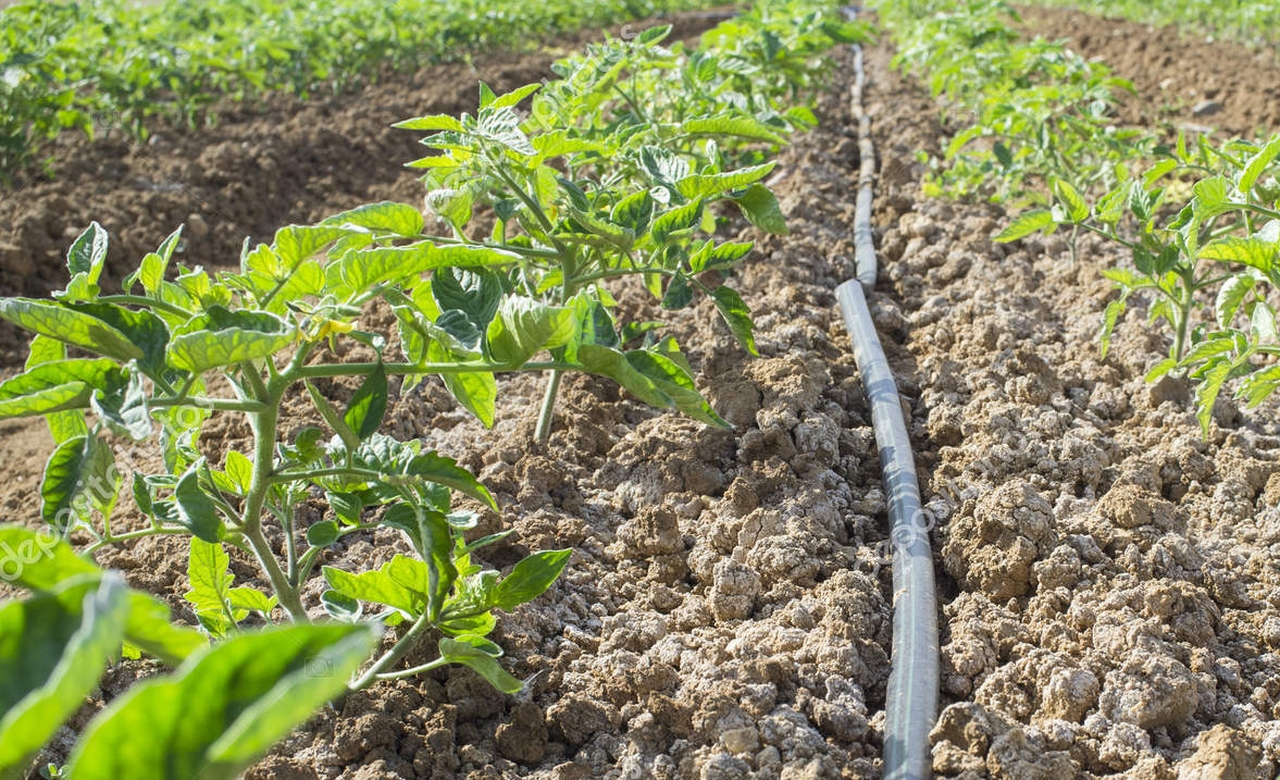 Sýarmaly jer kólemin ulǵaıtý máselesine baılanysty qurylǵan jumys tobynyń jumysy saralandy