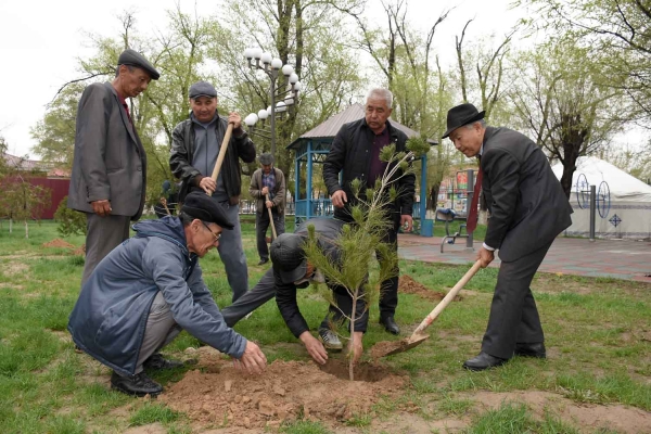 Túrkistanda 100 myń túp tal otyrǵyzylady