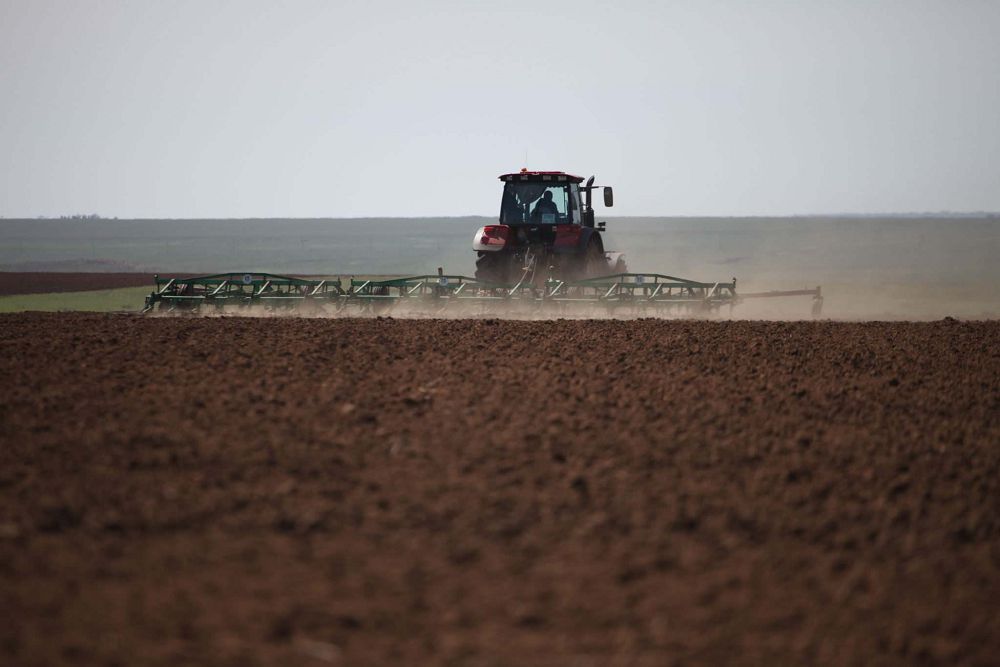 Kúngeıde egis naýqany bastaldy