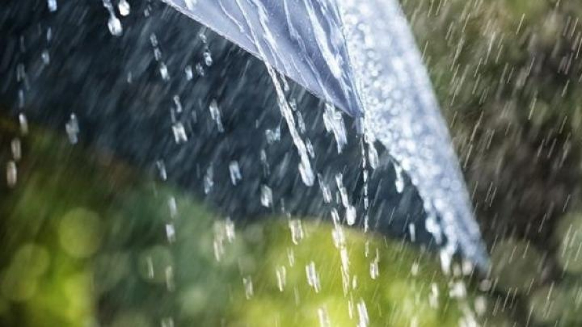 Búgin elimizdiń basym bóliginde jańbyr jaýady