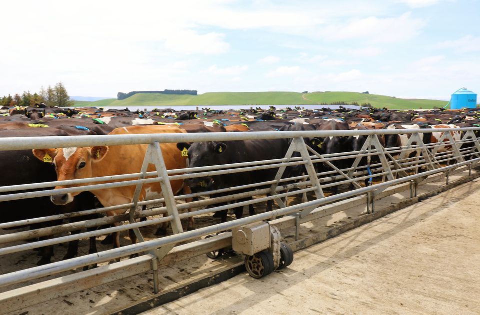 Mármár et óndiredi