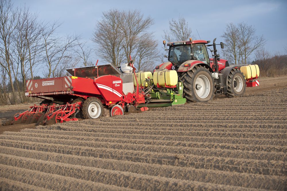 Dıqandar qyrdaǵy qyzý eńbekke attanady