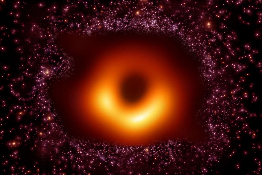 Qara qurdym shekarasynyń sýreti túsirildi