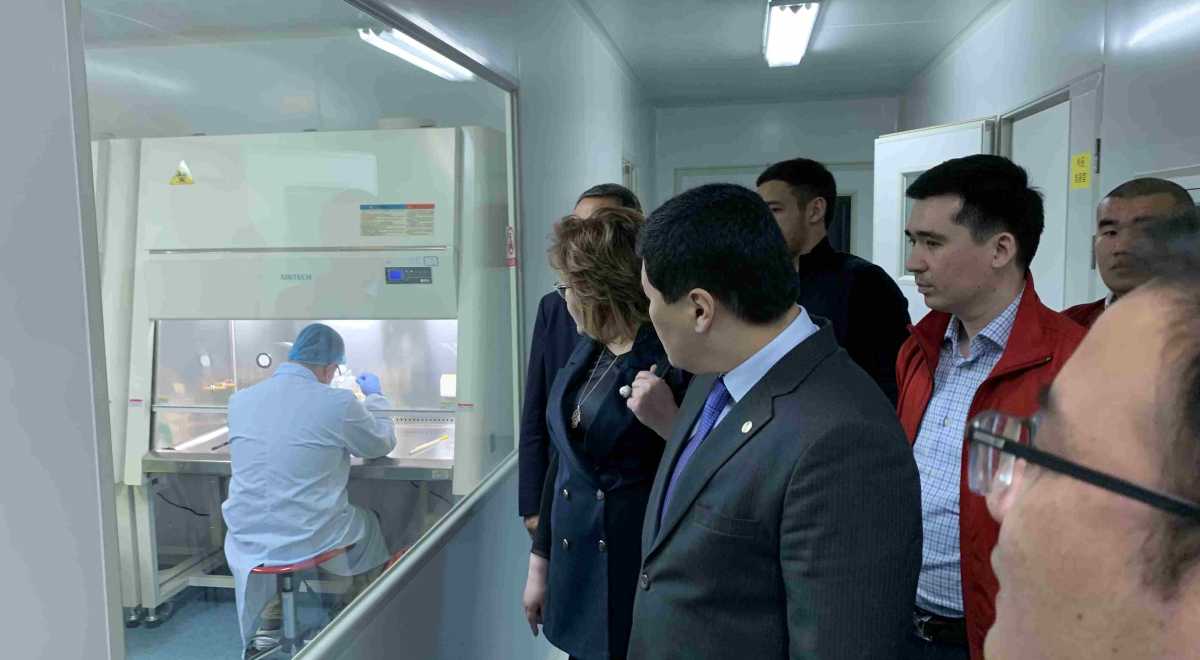 Qazaqstandyq eksporttaýshylar qytaılyq áriptesterimen yntymaqtastyqty nyǵaıtýda