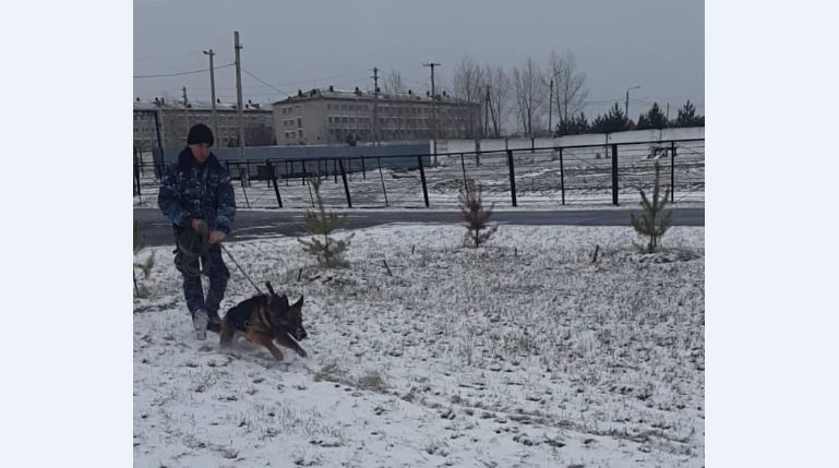 Dananyń kómegimen 8 adam ólimi, 14 tonaý, 500-deı urlyq ashyldy
