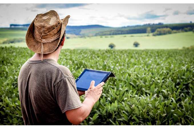 Sıfrly fermalar kóbeıedi