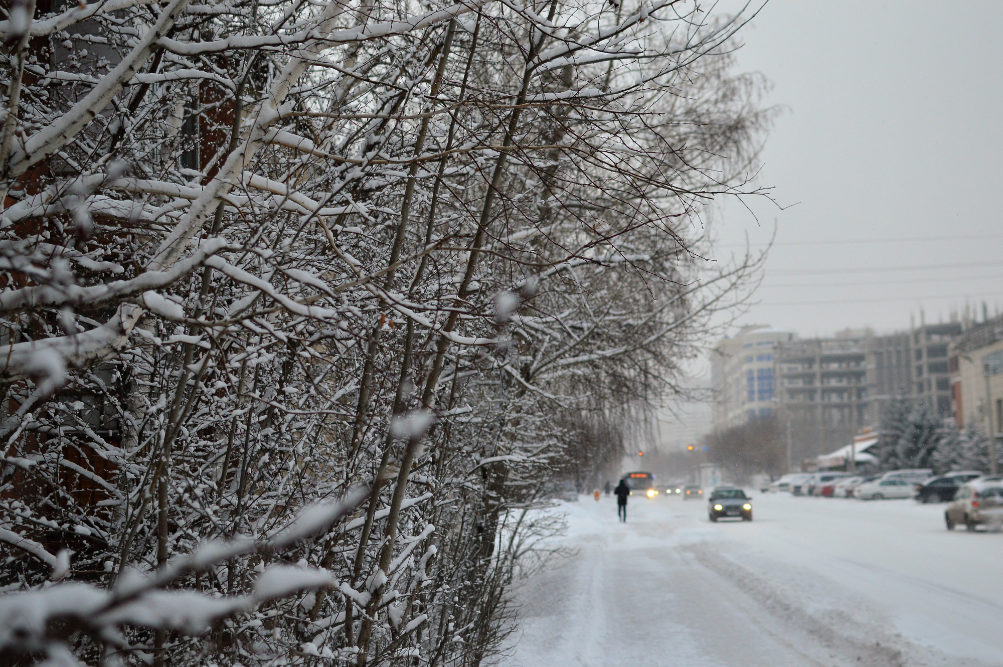Demalys kúnderi Elordada qar jaýyp, kóktaıǵaq bolady