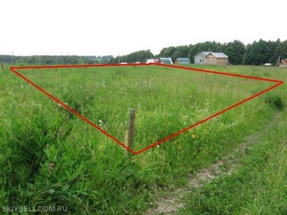 Jer ýchaskesin jalǵa alý quqyǵy aýksıonnan satyldy