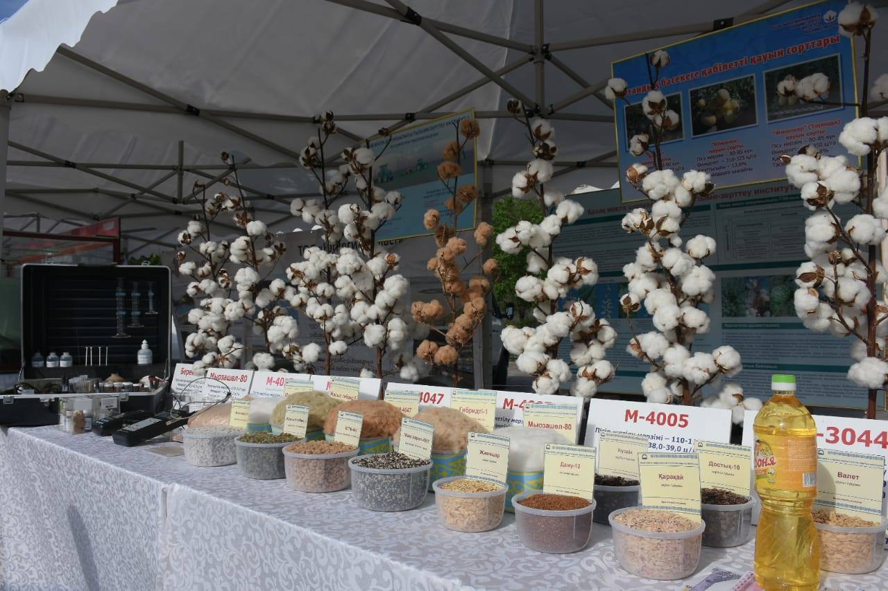Túrkistanda «Agroónerkásip kesheniniń ozyq tehnologııalary» atty kórme ótti