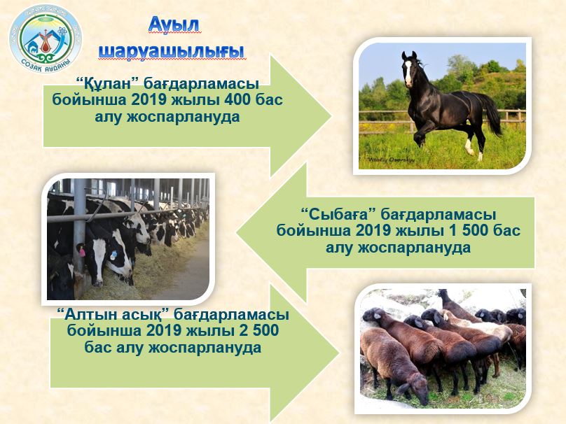 Túrkistan: Sozaq aýdanynda óńirlik ónim kólemi 245 mlrd teńgeden asqan