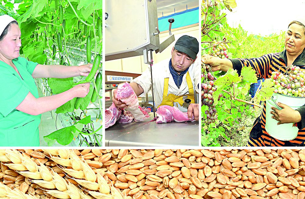 Aýyl sharýashylyǵy ónimderiniń  eksporty ulǵaıyp keledi