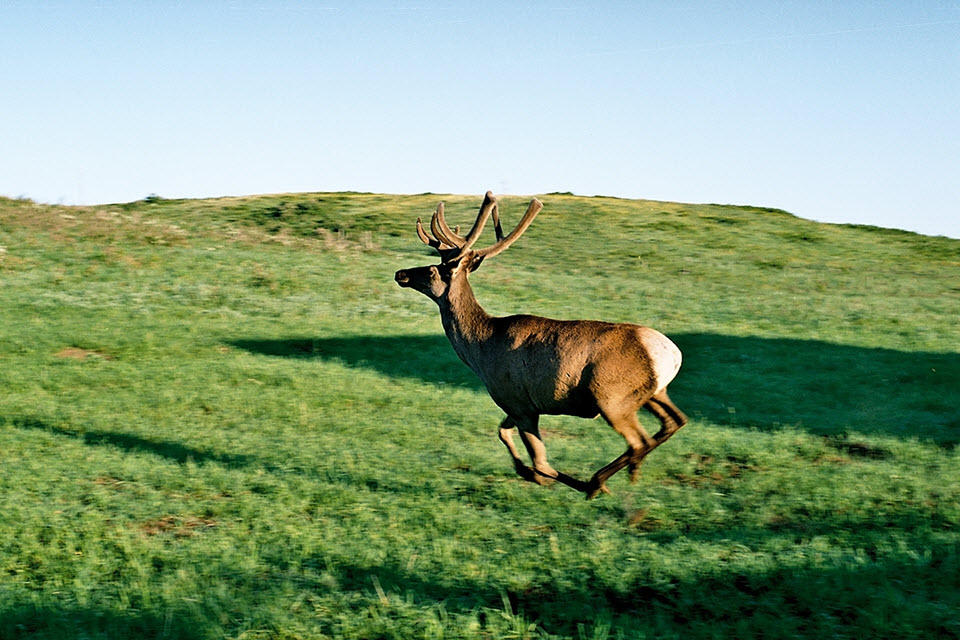 ShQO-da 4 maral men 3 teńbil buǵy erkindikke jiberildi