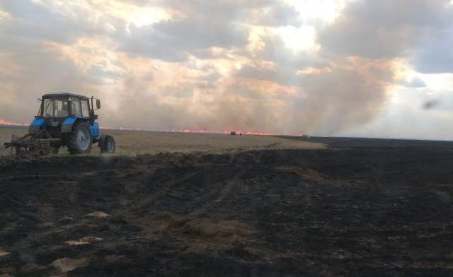 Pavlodar oblysynda dala órtteri basylmaı tur