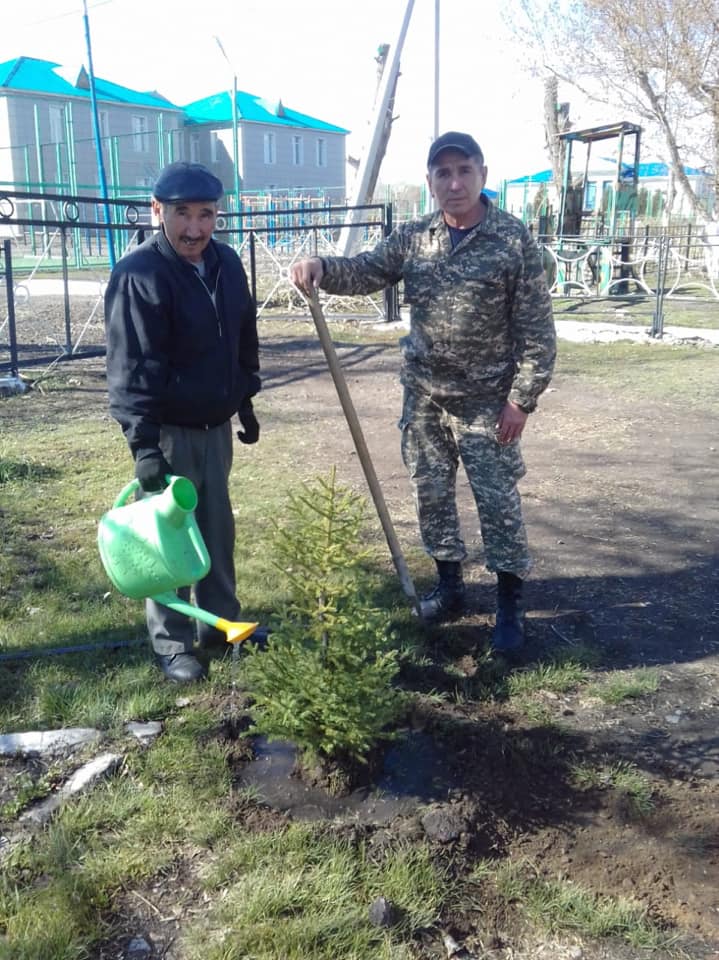 Aıagóz aýdanyna 5 myń túp shyrsha otyrǵyzylady