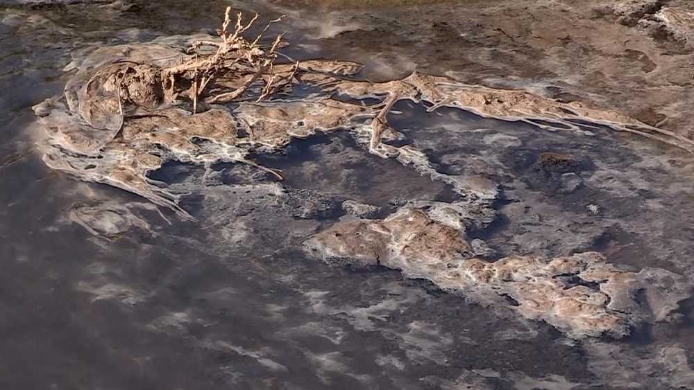 Shymkenttikter «Shyńyraýdy» tamashalaıdy