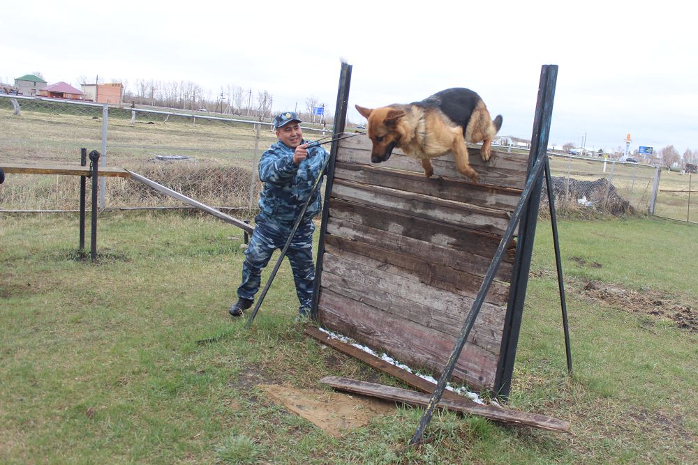 «Tórt aıaqty» tártip saqshylary