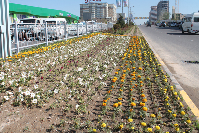 Úshaılyq abattandyrý aksııasy jarııalandy