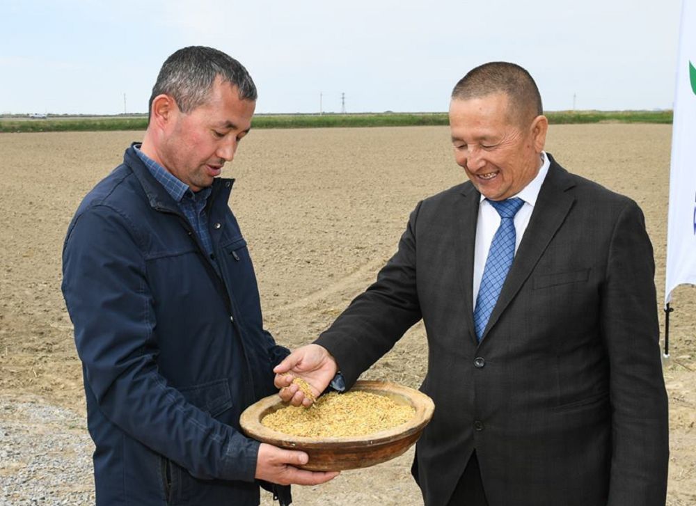 «Aqyldy fermalar»  ónimdilikti arttyrýǵa septesedi