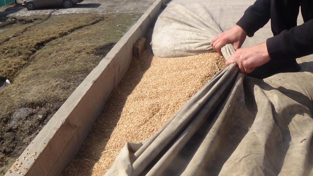 Qostanaıda iri astyq urlyǵynyń joly kesildi