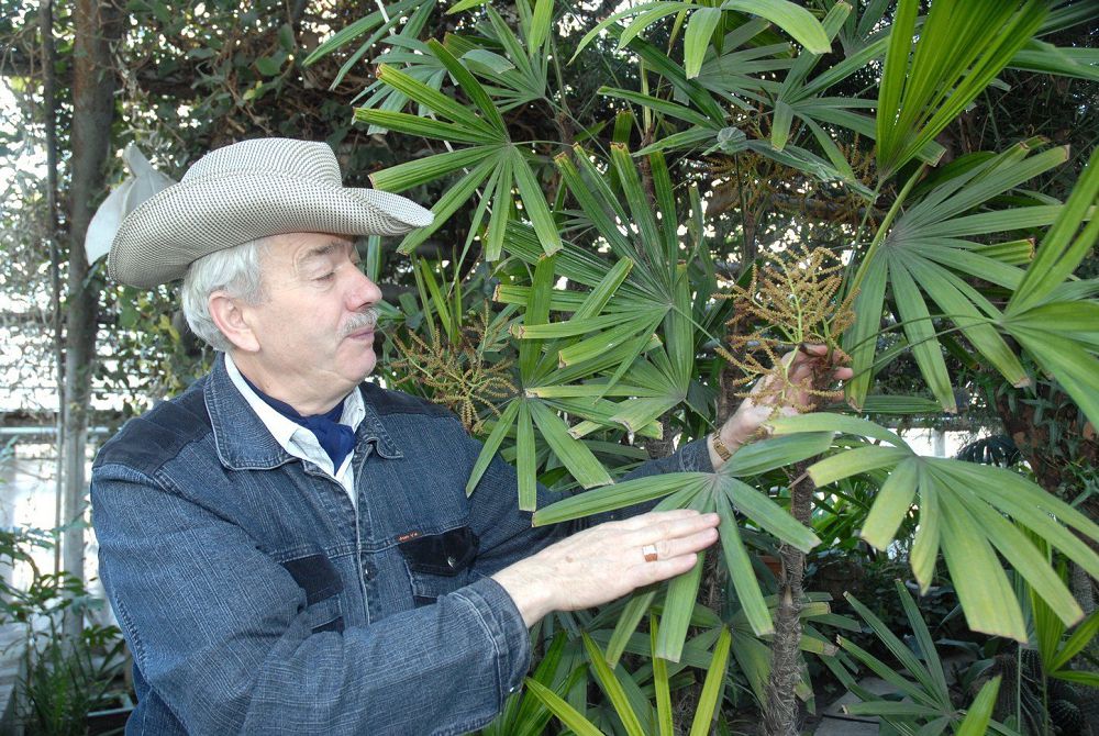 Teriskeıdegi tropıkalyq saıabaq