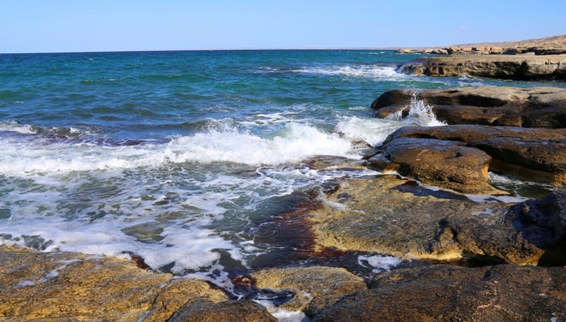 Ań-qusty qanshalyqty kóbeıte alamyz?