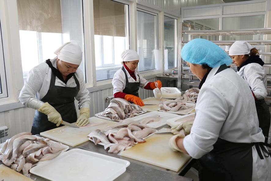 Aral qalasynda búginge deıin tórt myń kásipkerlik sýbektisi tirkelgen