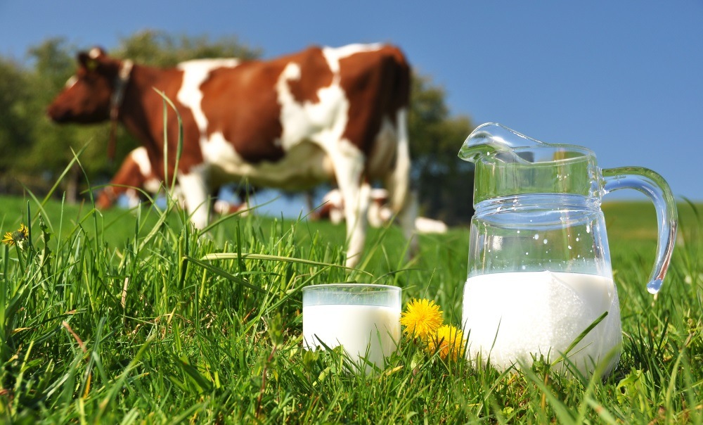 Aýylǵa degen qamqorlyq qomaqty