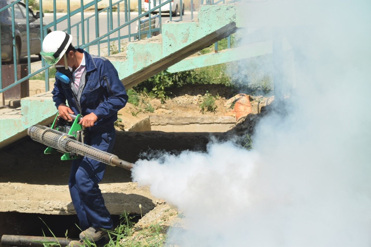 Atyraýda masaǵa qarsy kúres bastaldy