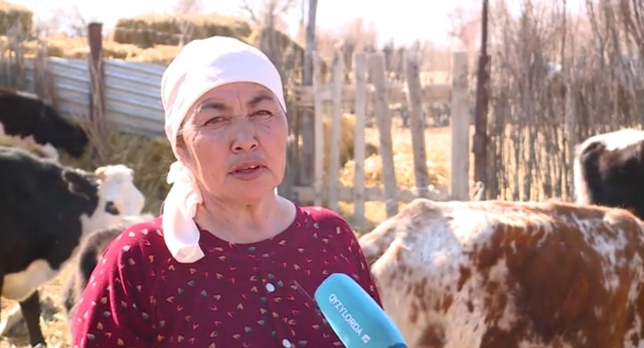 Kóp balaly ana kásibin ashty