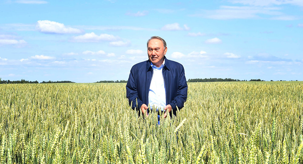 Rýhanı renessans joly