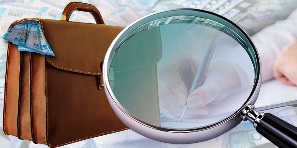 Nesıe portfelinde  naqtylyq joq