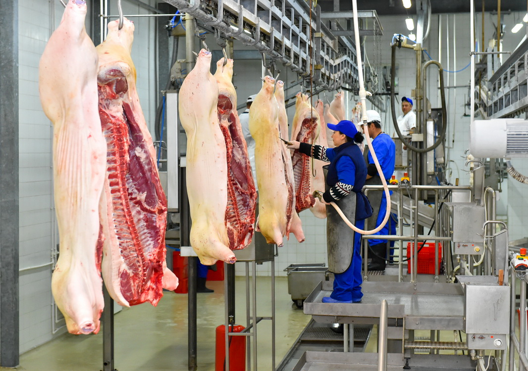 Ortalyq Azııada teńdesi joq et kombınaty paıdalanýǵa berildi