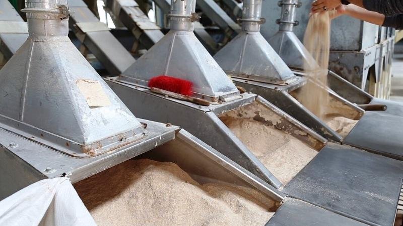 Soltústik Qazaqstanda quramajem zaýyty iske qosyldy