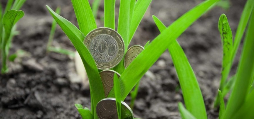 Aýyl kásipkerligin qarjylandyrý bastaldy