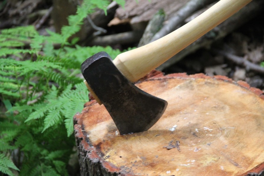 Aǵashty ege júrip,  kesetin jurtpyz...