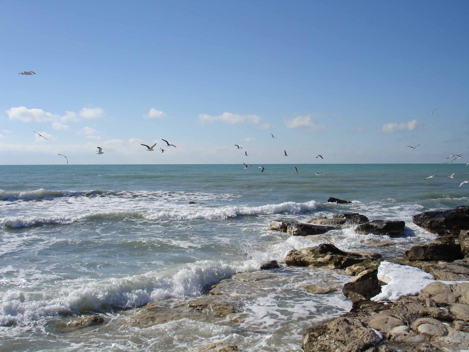 Birinshi maýsymda Kaspıı teńizinde sýda júzý maýsymy bastalady