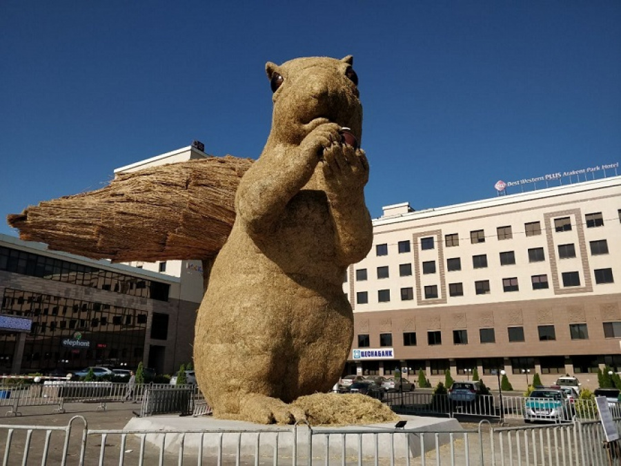 Almatydaǵy alyp tıin plastıkpen qaptalady