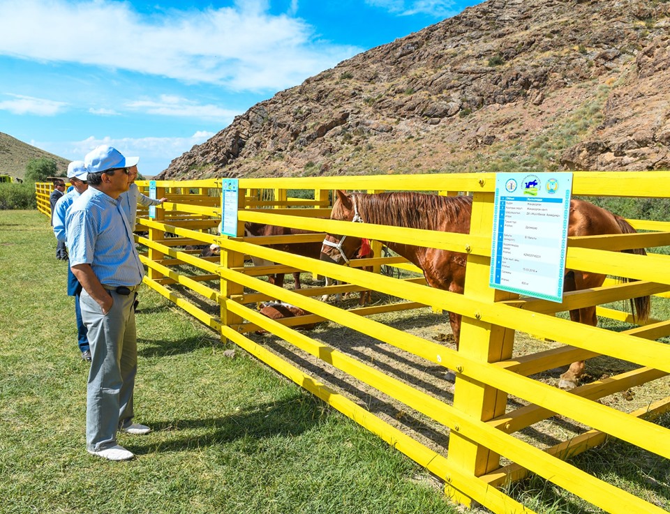 Qyzylordada dástúrli V malshylar sleti ótti