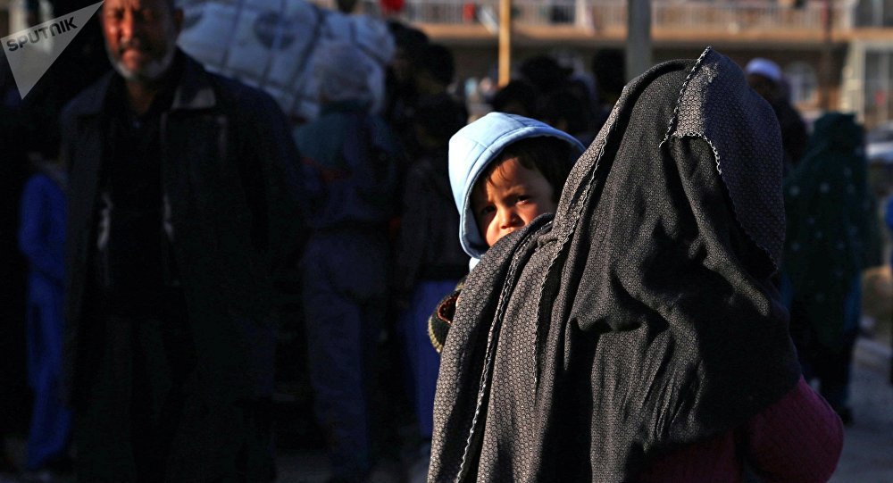 Jýsan ýaqytynda gúldedi