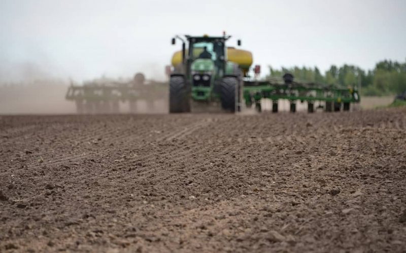 Pavlodar oblysynda kóktemgi egis jumystary aıaqtaldy