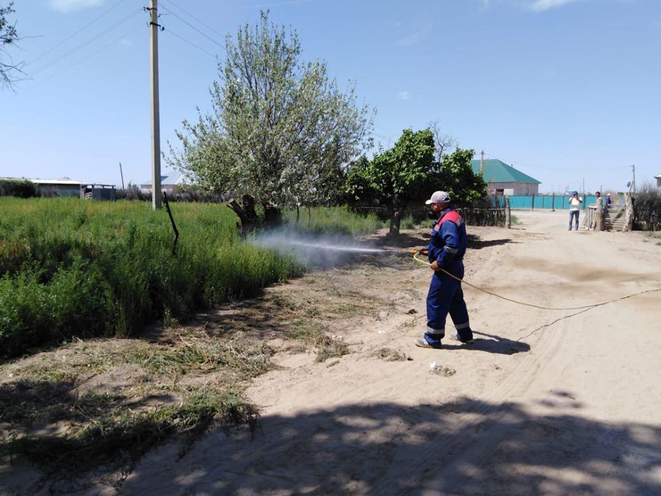 Ýly jándikterdiń qaýpi kúsheıdi