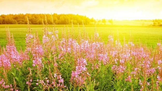 23 maýsymǵa arnalǵan aýa raıy boljamy