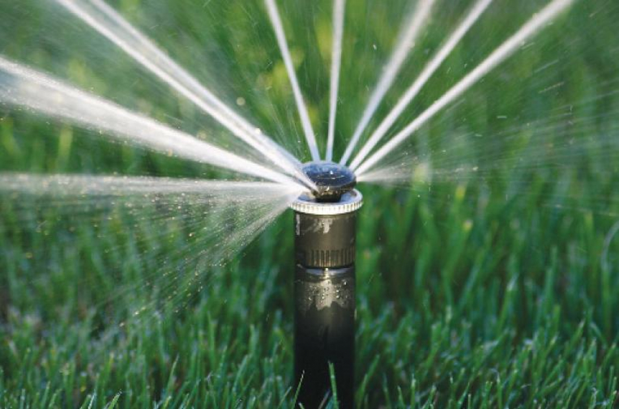 Tal-terekti sýarýdyń jańa tásili oń nátıje bere ala ma?