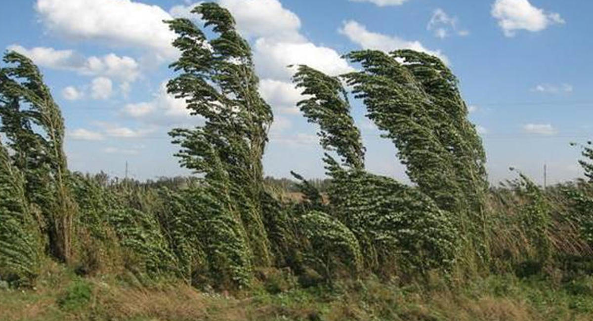 29 maýsymǵa arnalǵan aýa raıy boljamy