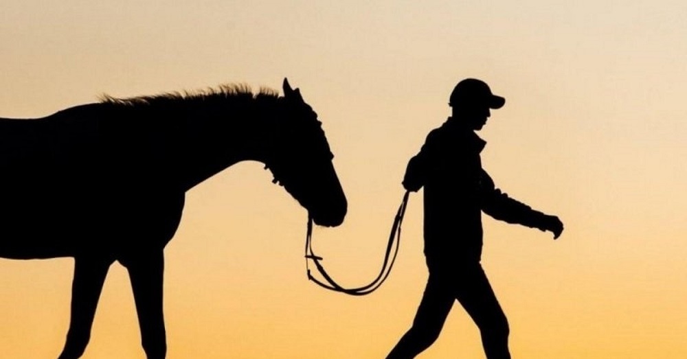 Qyzylordada mal urlyǵy kóbeıip keledi