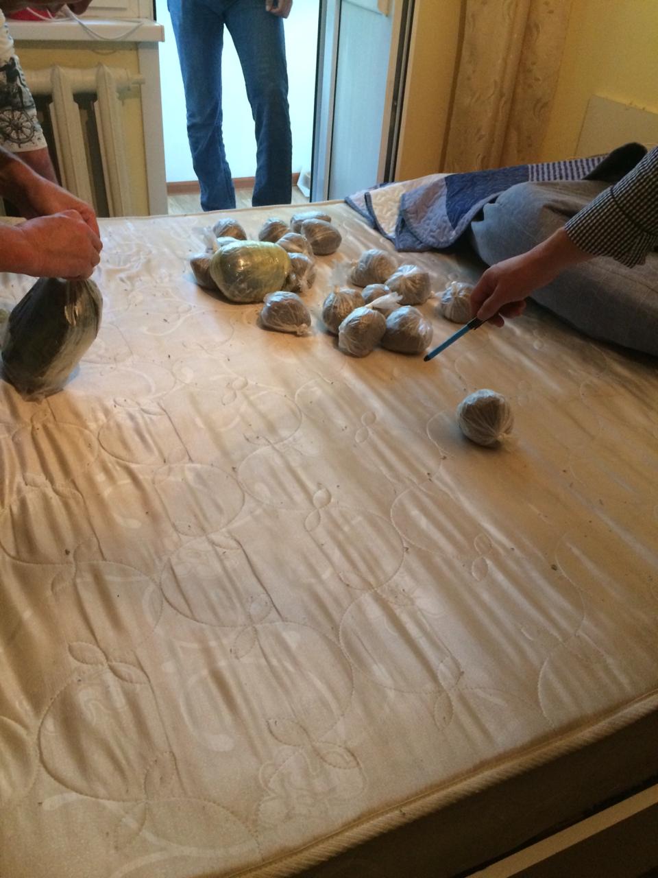 BQO-da bir aıda 23 esirtki qylmysy tirkeldi